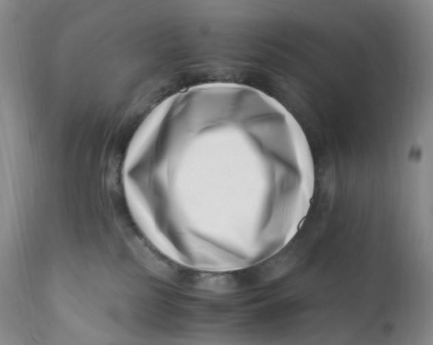 X0000110770185200907061127