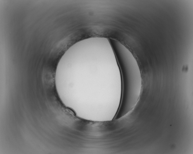 X0000110770186200907061127