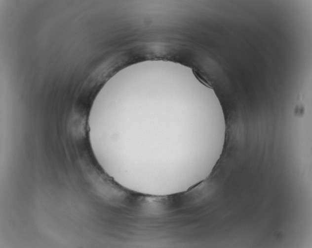 X0000110770188200907061127