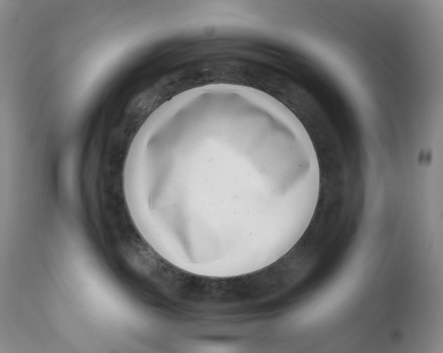 X0000110770189200907061127