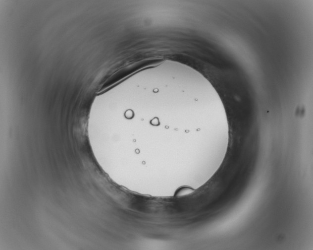 X0000110770190200907061127