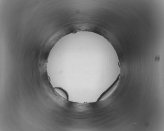 X0000110770191200907061127