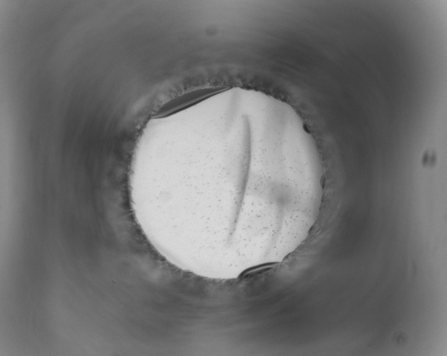 X0000110770192200907061127