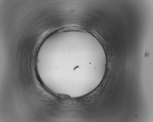 X0000110770193200907061126