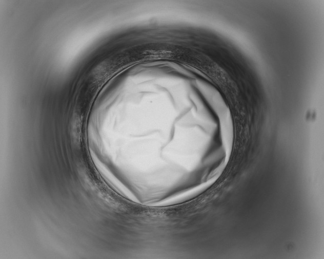 X0000110770194200907061126