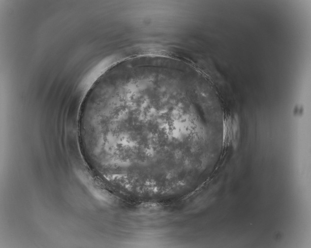 X0000110770195200907061126