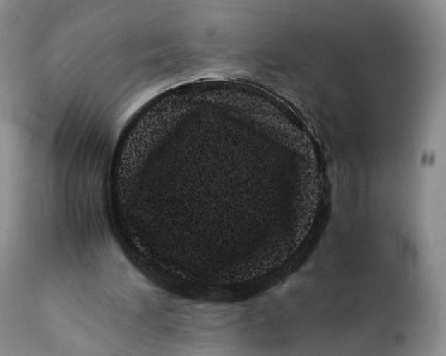 X0000110770196200907061126