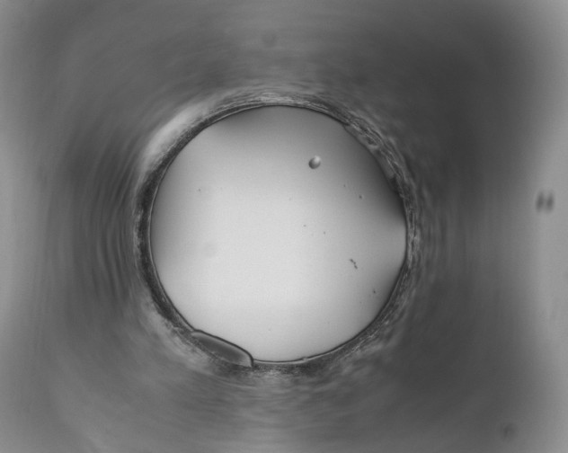 X0000110770197200907061126