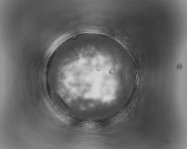 X0000110770199200907061126