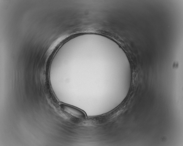 X0000110770200200907061126