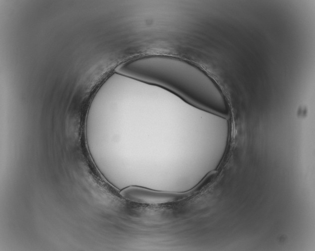 X0000110770201200907061126