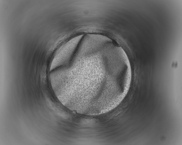 X0000110770202200907061126