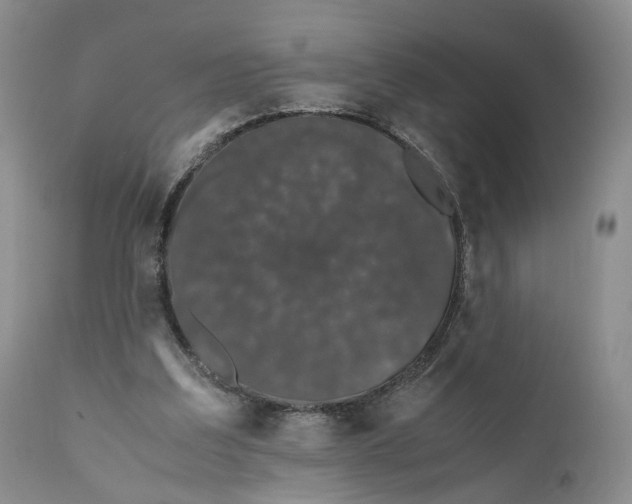 X0000110770203200907061126