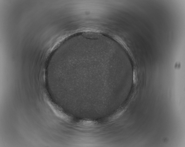 X0000110770205200907061126