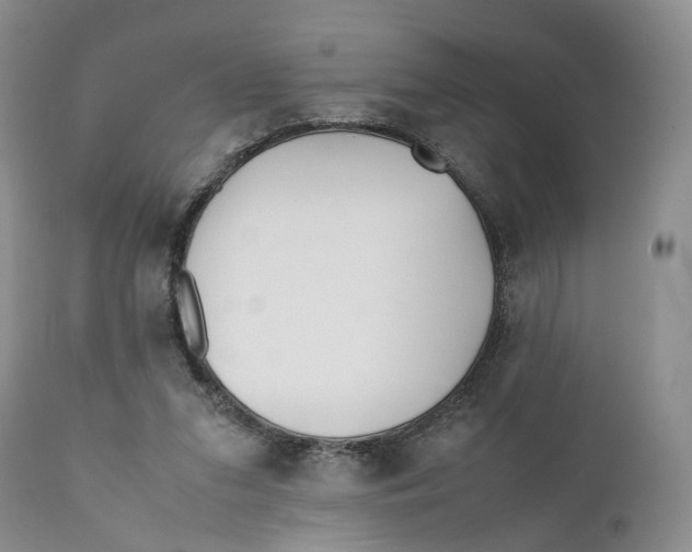 X0000110770207200907061126