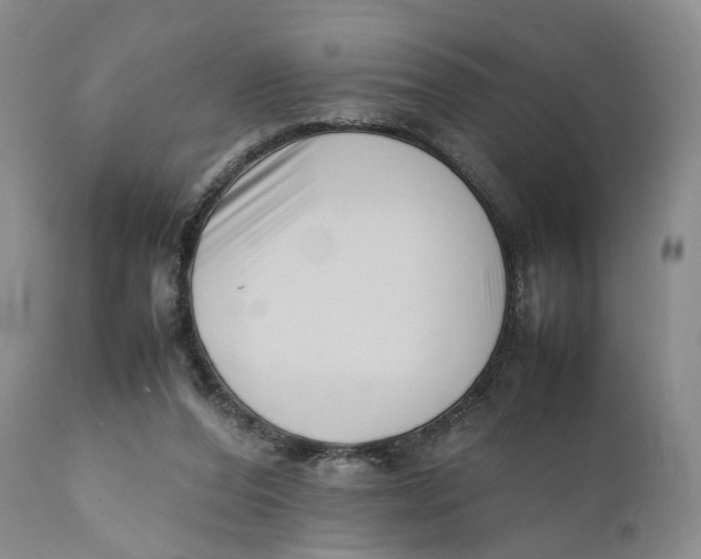 X0000110770208200907061126