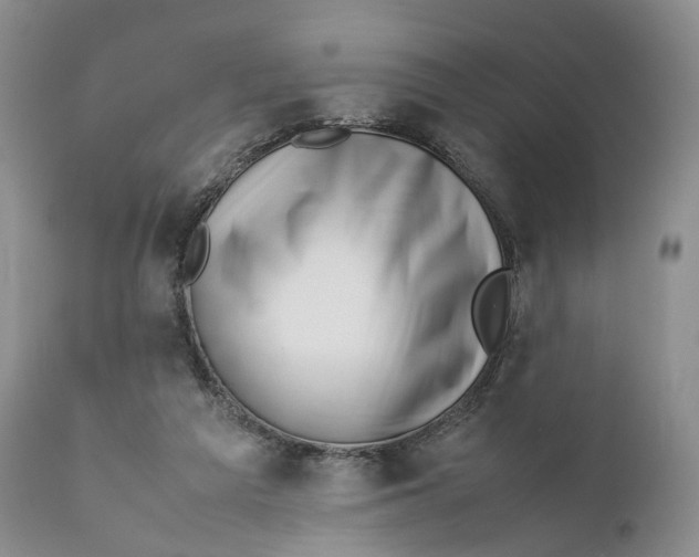 X0000110770209200907061126