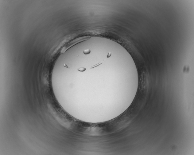 X0000110770212200907061126