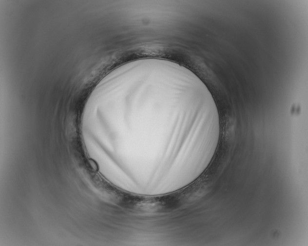 X0000110770213200907061126