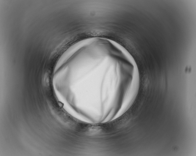 X0000110770214200907061126