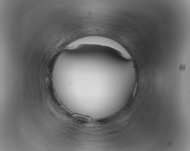 X0000110770215200907061126