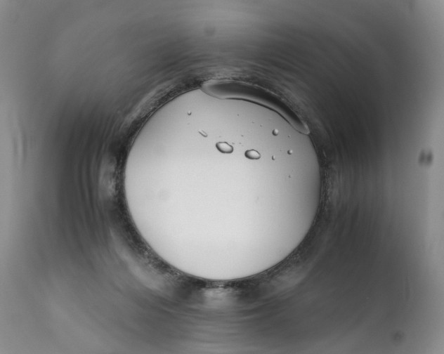 X0000110770216200907061126