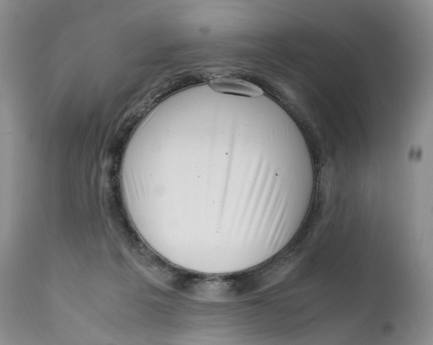 X0000110770217200907061126