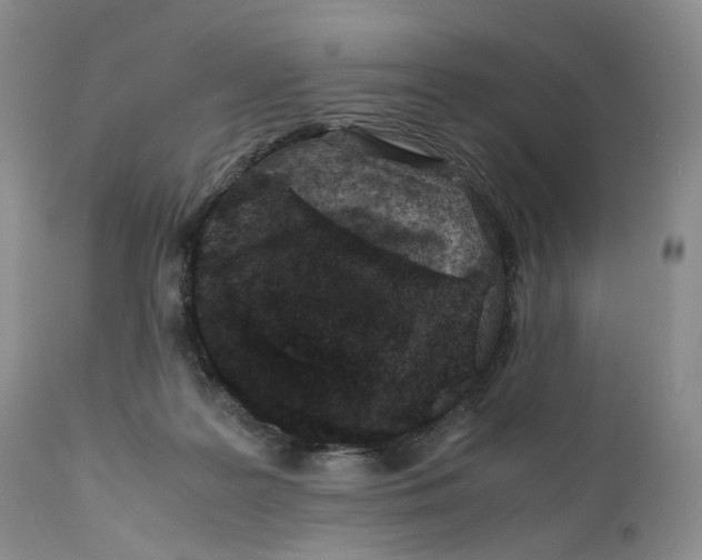 X0000110770219200907061126