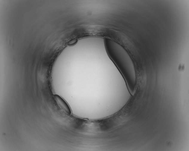 X0000110770221200907061126