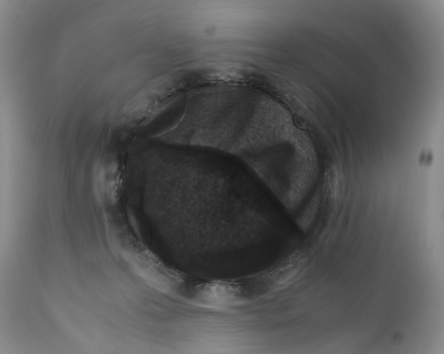 X0000110770223200907061126