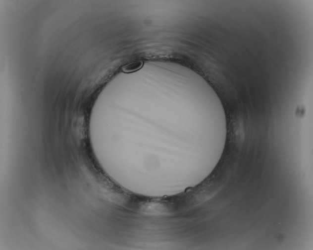 X0000110770224200907061126