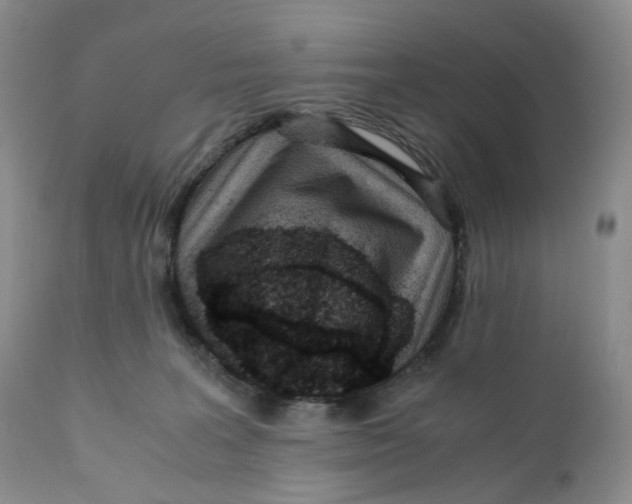 X0000110770227200907061126