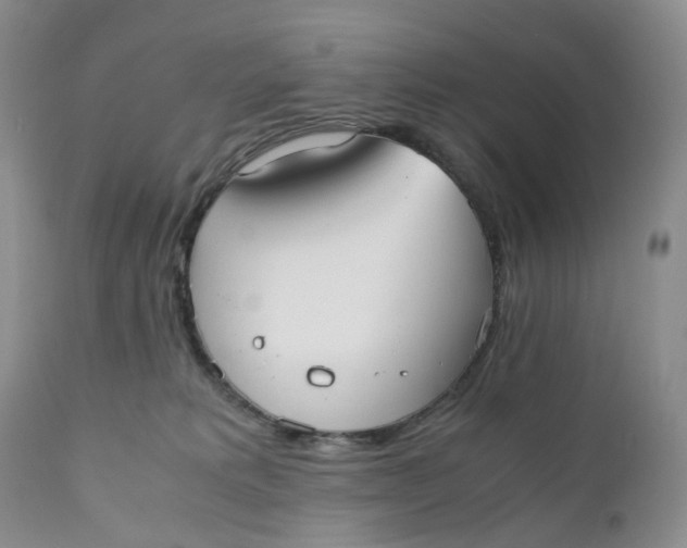 X0000110770229200907061126