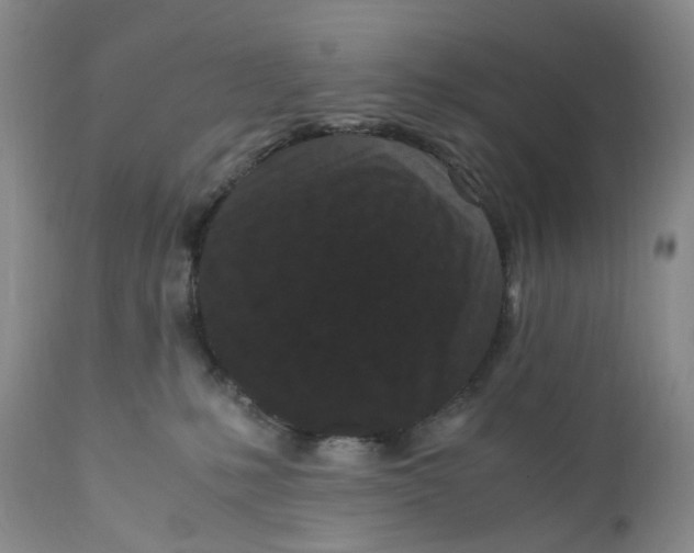 X0000110770231200907061126