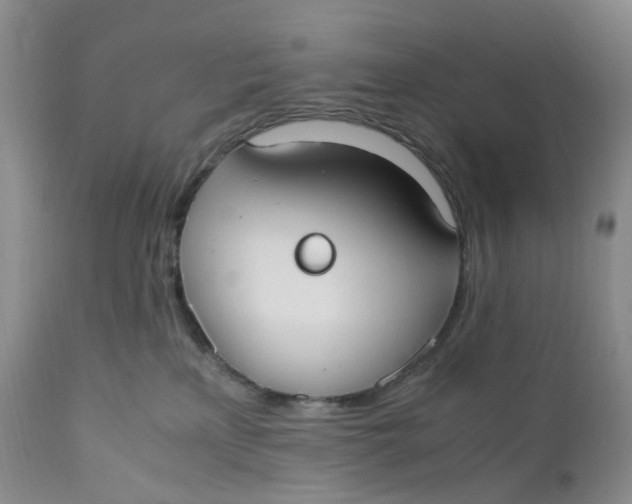 X0000110770233200907061126