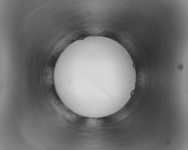 X0000110770234200907061126