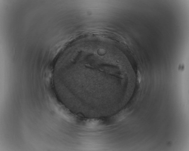 X0000110770235200907061126