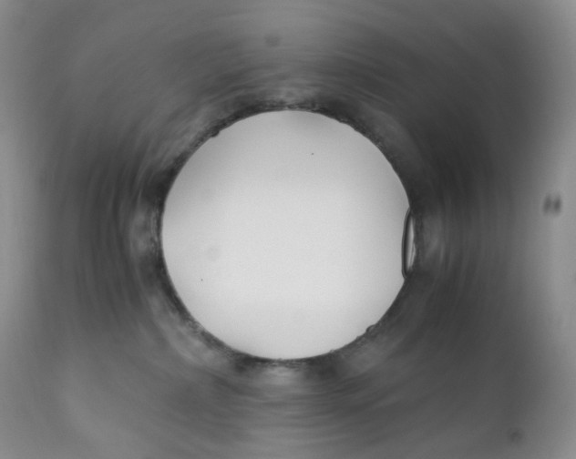 X0000110770236200907061126