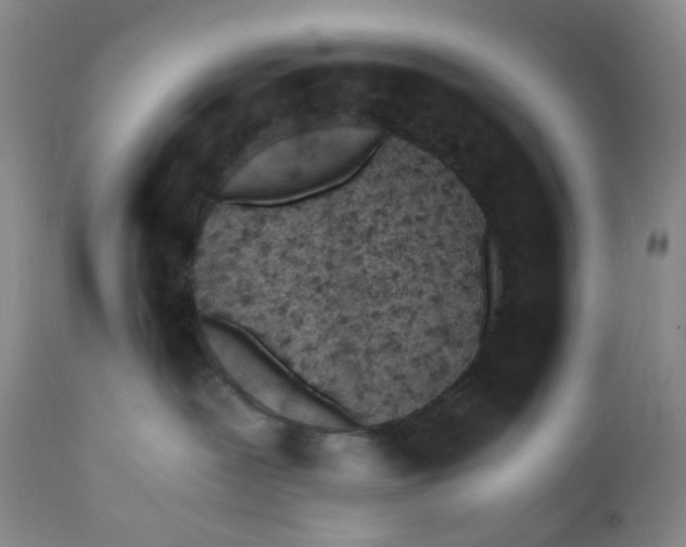 X0000110770239200907061126