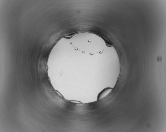 X0000110770240200907061126