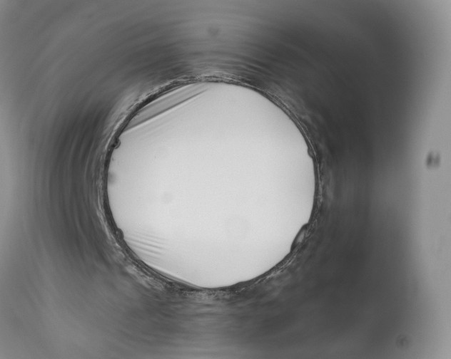 X0000110770241200907061125