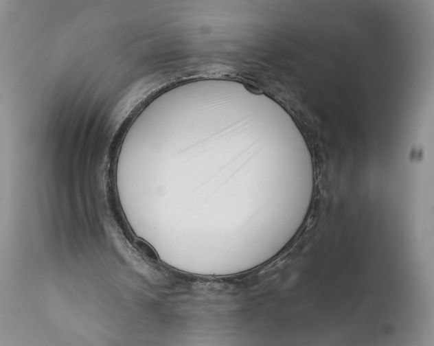 X0000110770242200907061125