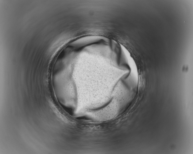 X0000110770243200907061125