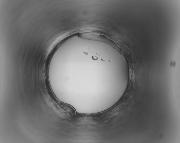 X0000110770244200907061125