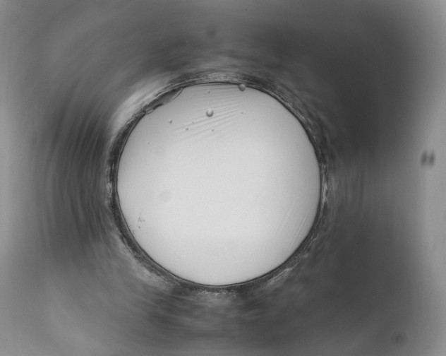 X0000110770245200907061125