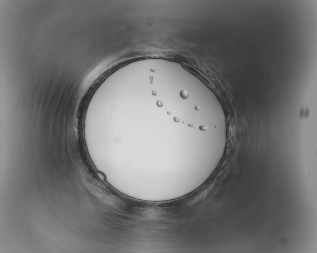 X0000110770246200907061125