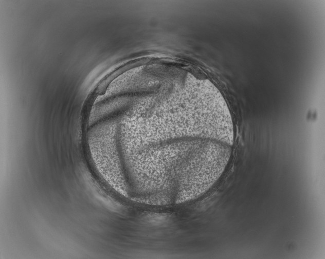 X0000110770247200907061125