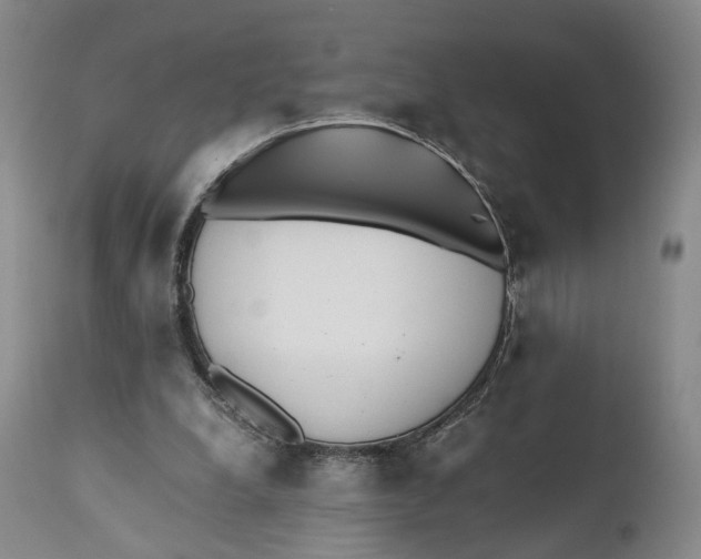 X0000110770248200907061125