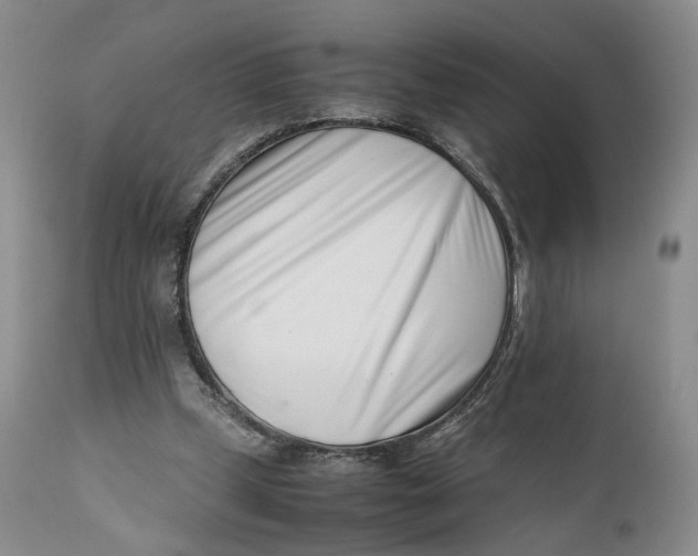 X0000110770249200907061125