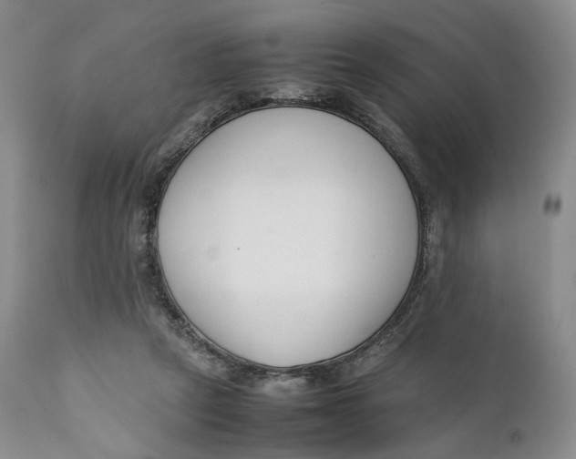 X0000110770257200907061125